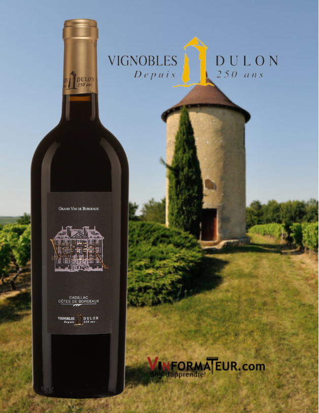 Bouteilled de Château du Vallier, France, Bordeaux, Cadillac Côtes de Bordeaux, Vignobles Dulon, 2015 avec tourelle et vignoble en arrière-plan