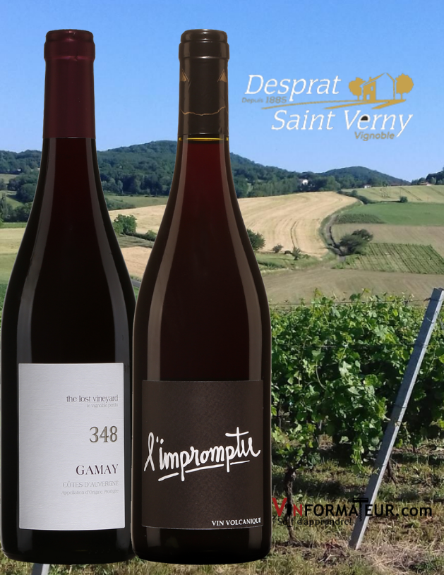Deux bouteilles Gamay 348 et l'Impromptu 2018 Vignobles Saint Verny avec vignobles en arrière-plan