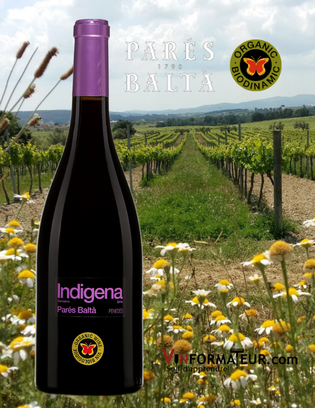 Bouteille de Indigena, Parés Baltà, Espagne, Penedès, vin rouge bio/vegan, 2018 avec vignobles en arrière-plan
