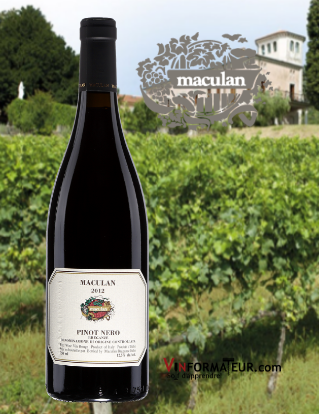 Bouteille de Maculan, Pinot Nero (Pinot Noir), Italie, Vénétie, Breganze, vin rouge, 2019 avec vignobles en arrière-plan