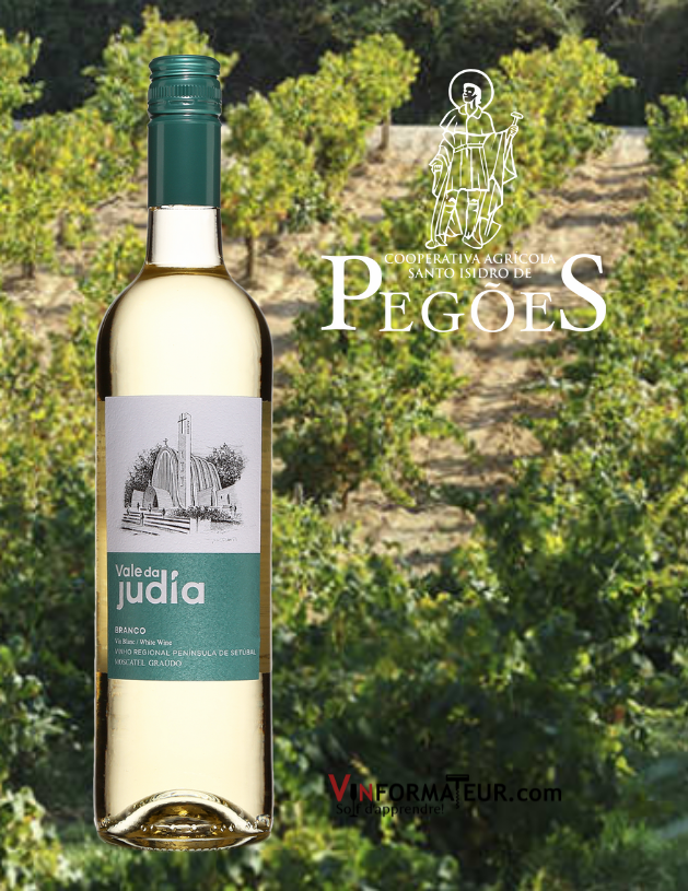 Bouteille de Vale da Judia, Branco, Portugal, Péninsule de Setubal, vin blanc, 2020 avec vignobles en arrière-plan