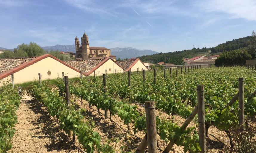 Chai et vignobles Bodega Humberto Canale