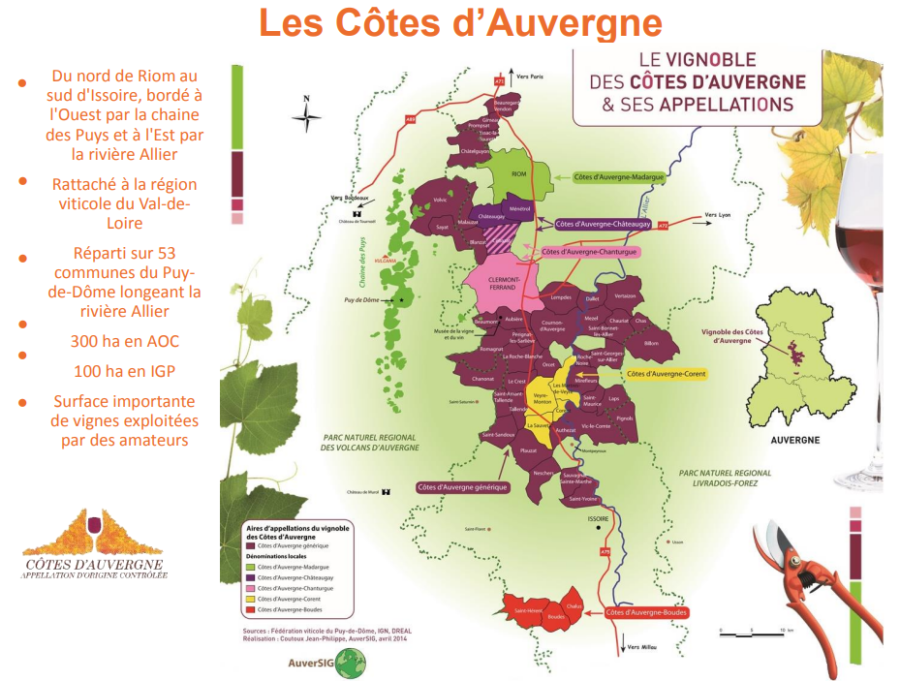 Carte viticole des Côtes de l'Auvergne