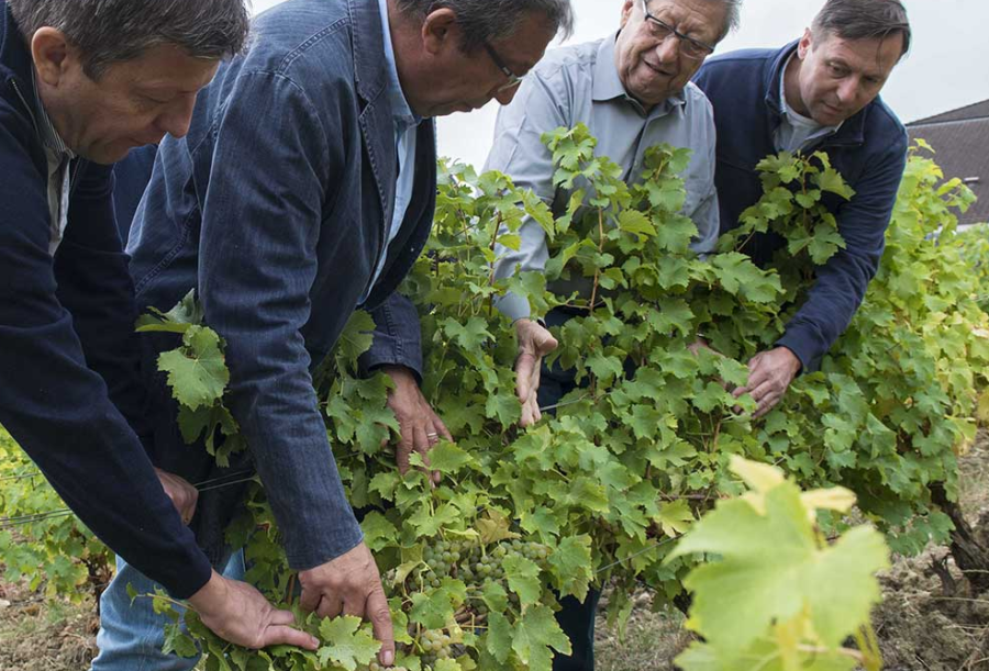 Famille Bourgeois Jean-Marie, Arnaud, Lionel et Jean-Christophe