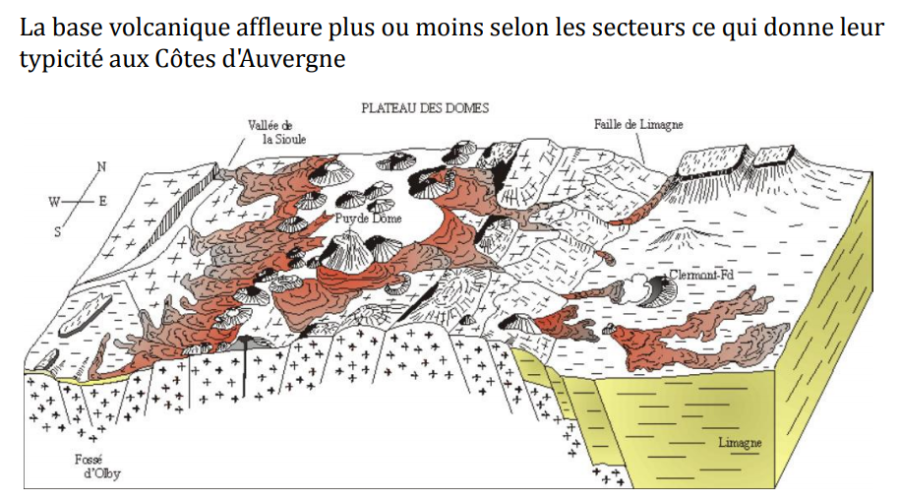 Carte géologique des Côtes de l'Auvergne