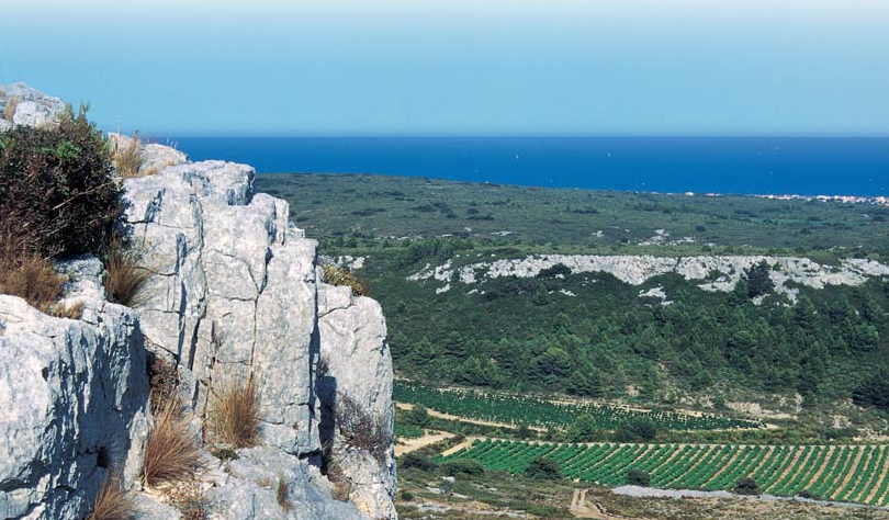 Vignobles Château Rouquette sur Mer