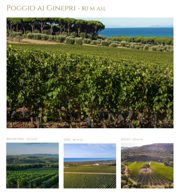 Vignobles Tenuta Argentiera