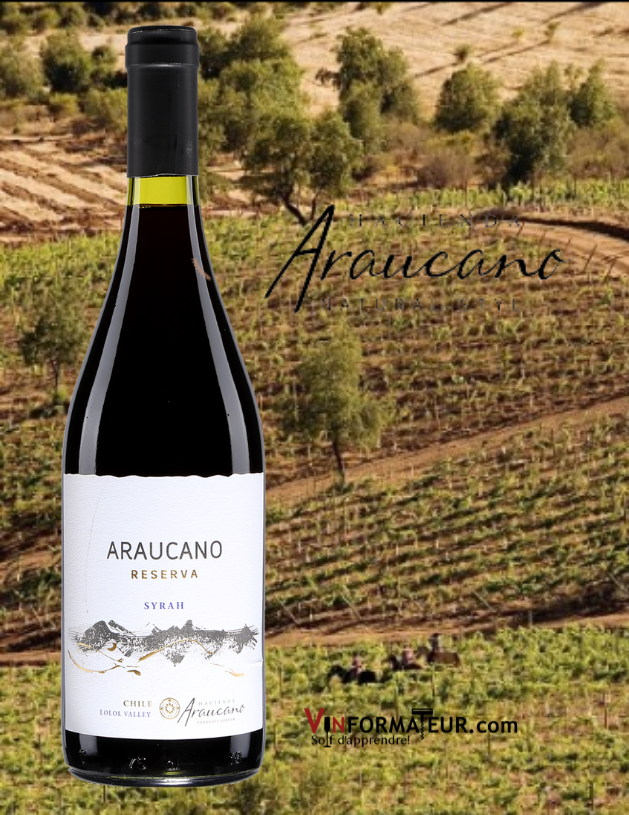 Bouteille de Araucano, Syrah Reserva, Chili, Valle Central, Lolol, Vina Hacienda Araucano, François Lurton, vin rouge, 2020 avec vignobles en arrière-plan