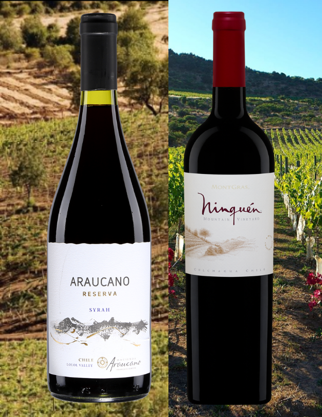 Bouteilles de Araucano, Syrah Reserva, Chili, Valle Central et le Ninquen, Chili, Valle Central, Villa Montgras 2018 abvec vignobles en arrière-plan