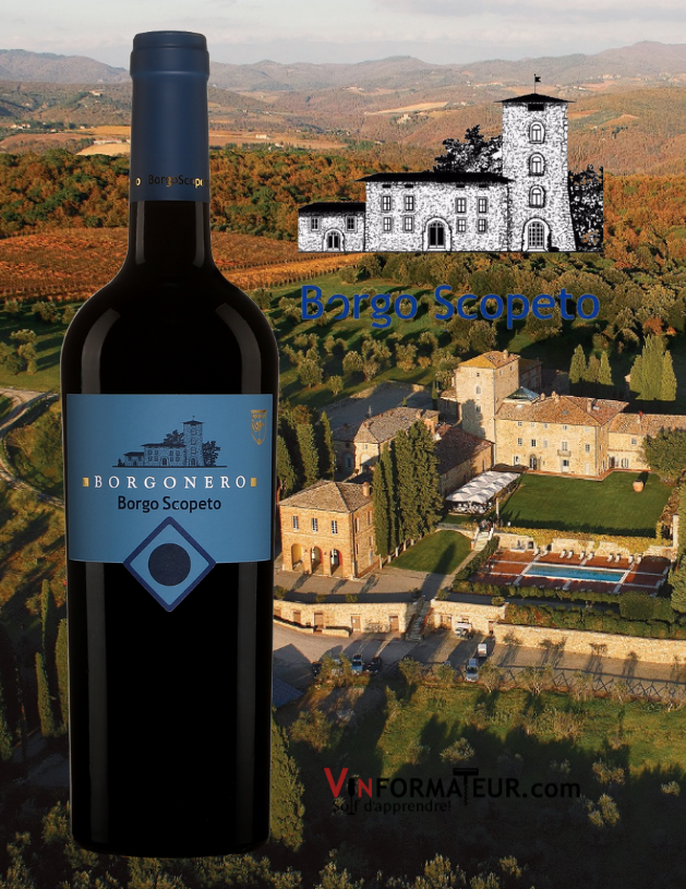 Bouteille de Borgonero, Borgo Scopeto, Italie, Toscana IGT, 2017 avec vignoble en arrière-plan