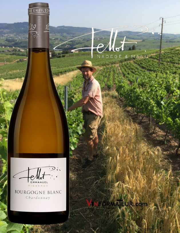 Bouteille de Chardonnay, Bourgogne blanc (Beaujolais), Domaine Emmanuel Fellot, vin blanc nature, 2018 avec vignobles en arrière-plan