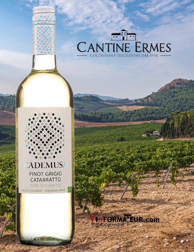 Cademusa, Pinot Grigio, Catarratto, Italie, Sicile, Cantine Ermes, vin blanc bio, 2019