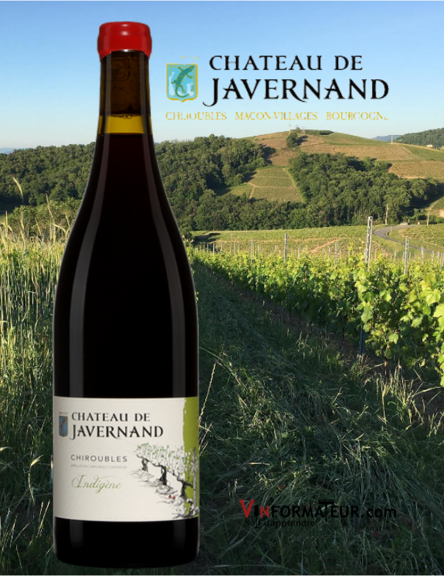 Bouteille de Château de Javernand, Cuvée Indigène, France, Beaujolais, Chiroubles AOC, vin rouge nature, 2018 abvec vignobles en arrière-plan
