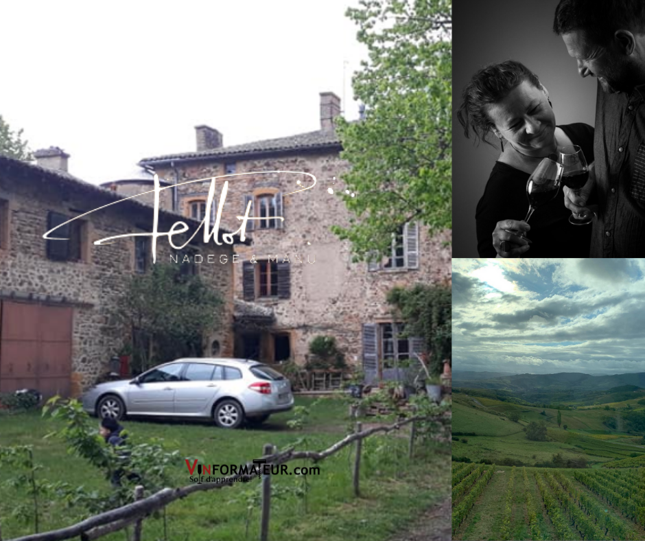 Domaine Fellot - chai et vignobles et Nadège et Manu Fellot