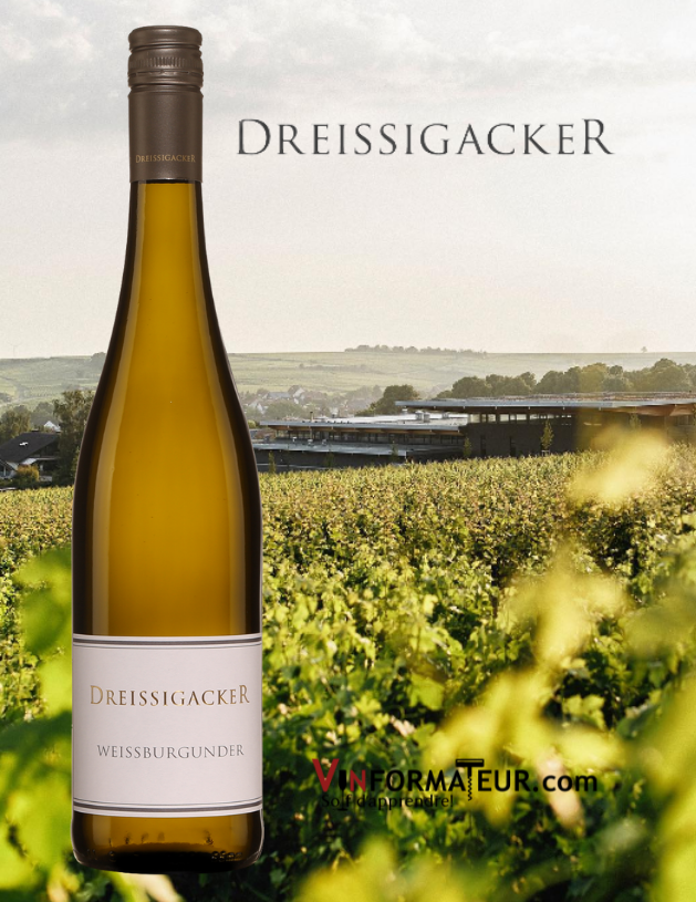 Dreissigacker Weissburgunder, Allemagne, Rheinhessen, Trocken, Organic, 2019