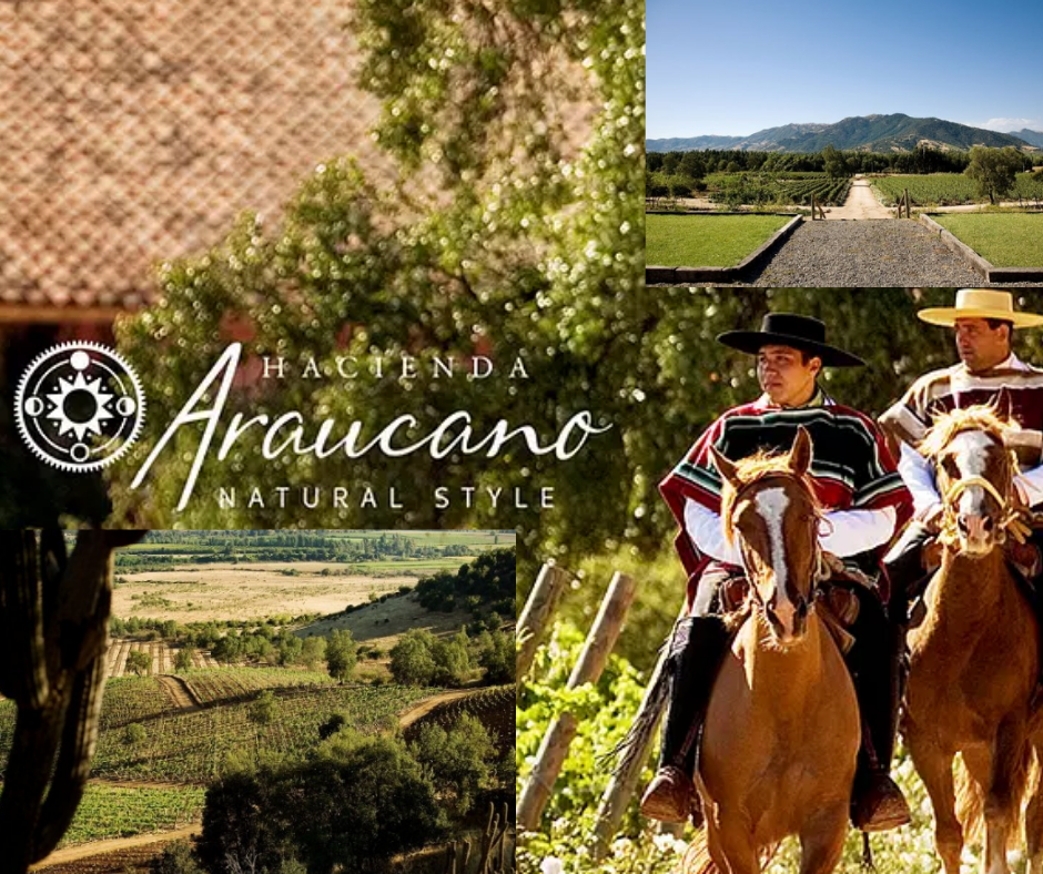 Hacienda Araucano chai et vignobles