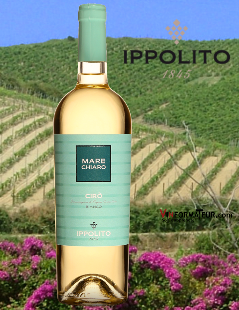 BOuteille de Mare Chiaro, Ciro, Italie, Calabre, Cantine Vincenzo Ippolito, vin blanc, 2020 avec vignobles en arrière-plan