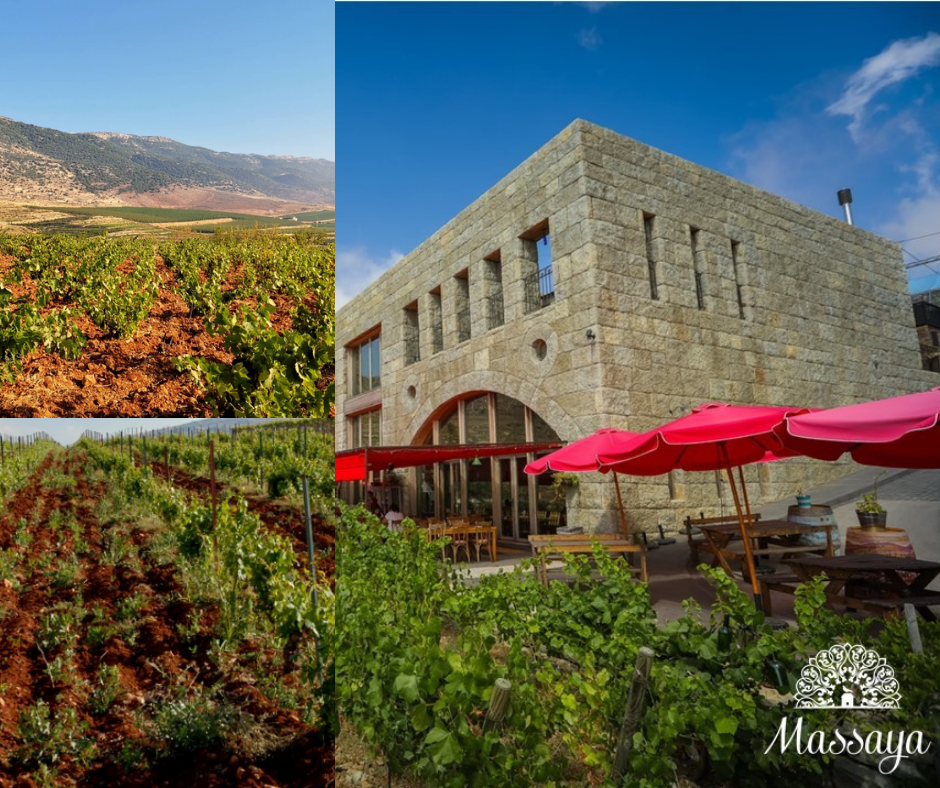 Chai et vignobles Massaya