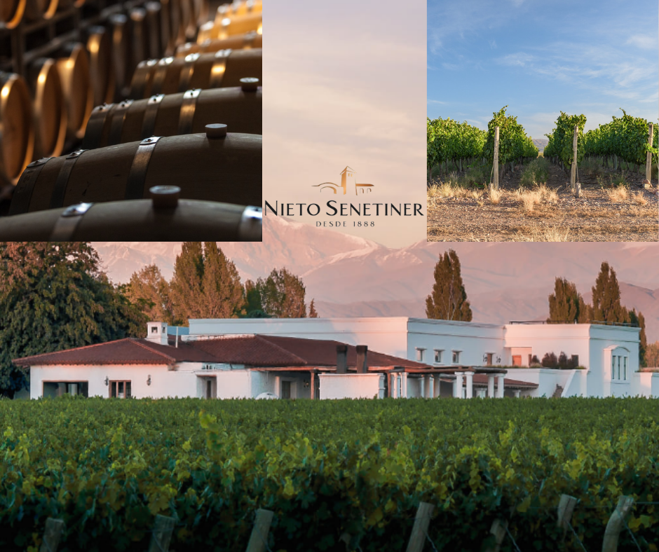 Chai et vignobles de Nieto Senetiner