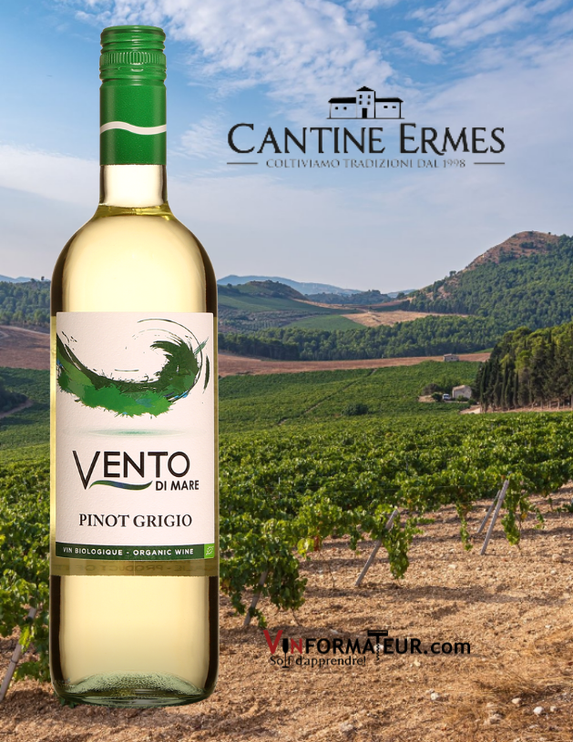 Vento di Mare, Pinot Grigio, Italie, Sicile, Cantine Ermes, vin blanc bio, 2020