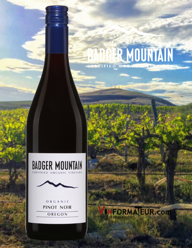 Bouteille de Badger Mountain, Pinot Noir, vin bio sans souffre ajouté, États-Unis, Oregon, 2020 et vignobles
