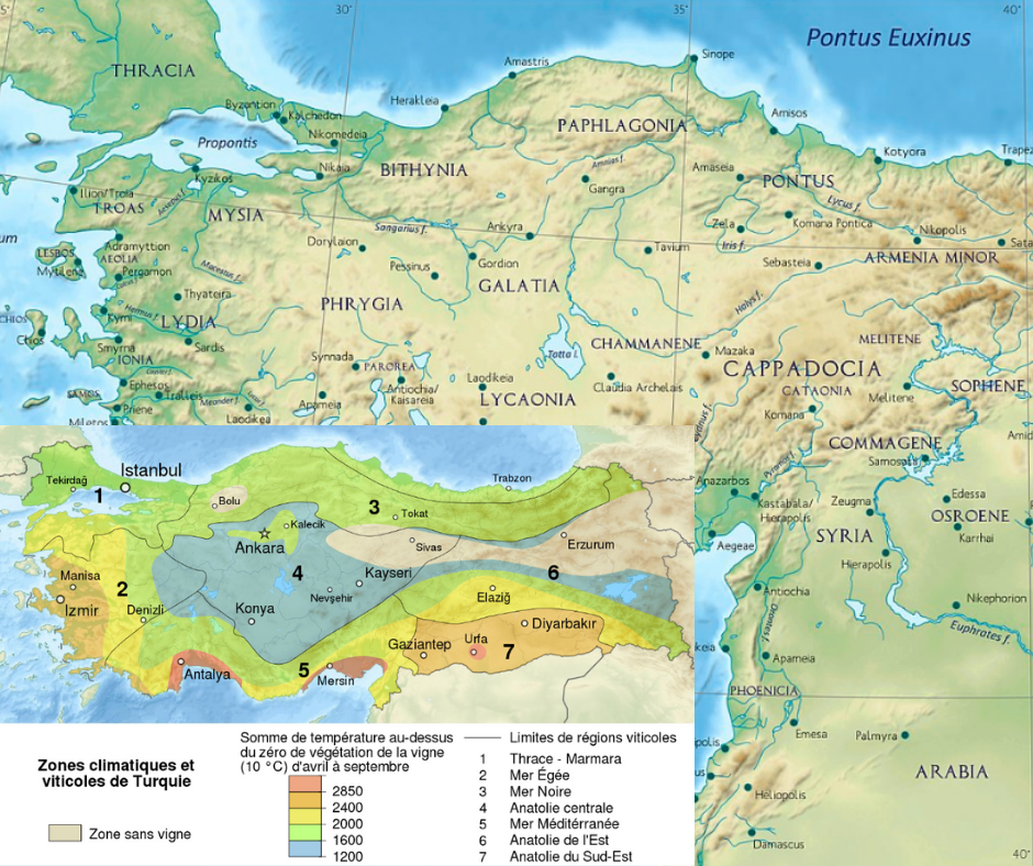 Carte viticole Turquie
