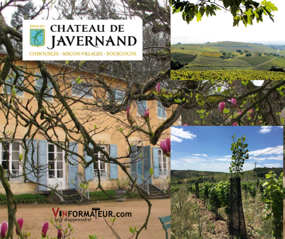 Château de Javernand - chai et vignobles