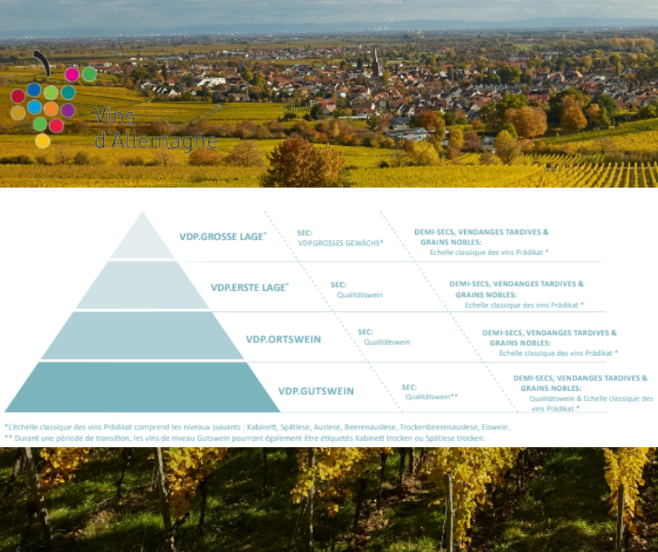 Classification VDP et vignobles