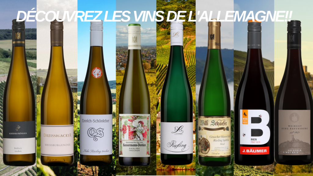 Découvrez les vins de l’Allemagne!!