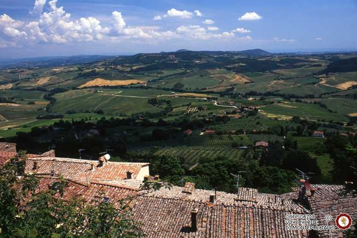 Vignobles Vino Nobile