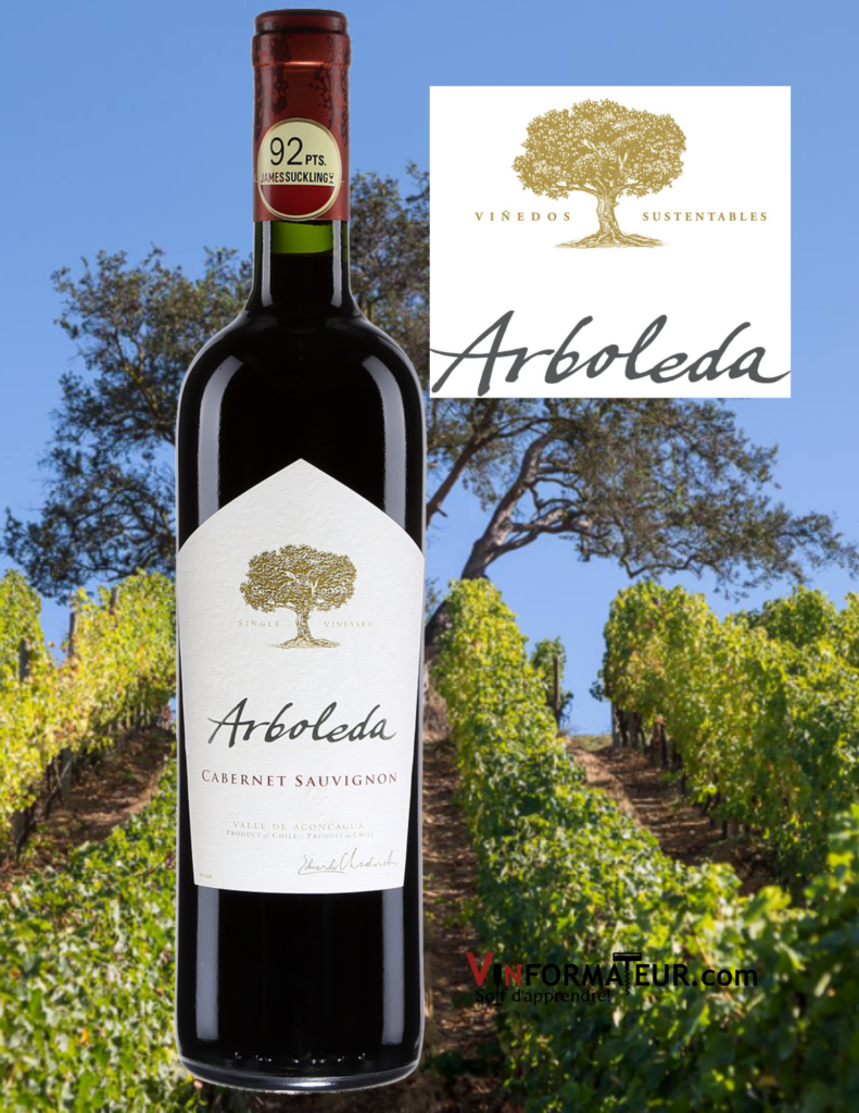 Bouteille de Arboleda, Cabernet-Sauvignon, Chili, D.O. Valle del Aconcagua, vin rouge, 2018 et vignobles