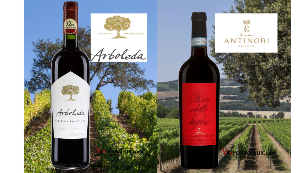 Bouteilles de Arboleda Cabernet Sauvignon 2018 et Pian delle Vigne Rosso di Montalcino 2019 et vignobles