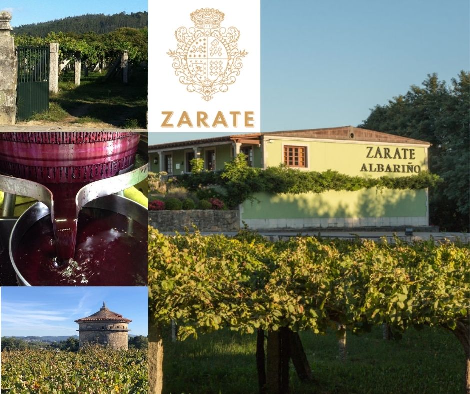 Bodegas Zarate, chai et vignobles