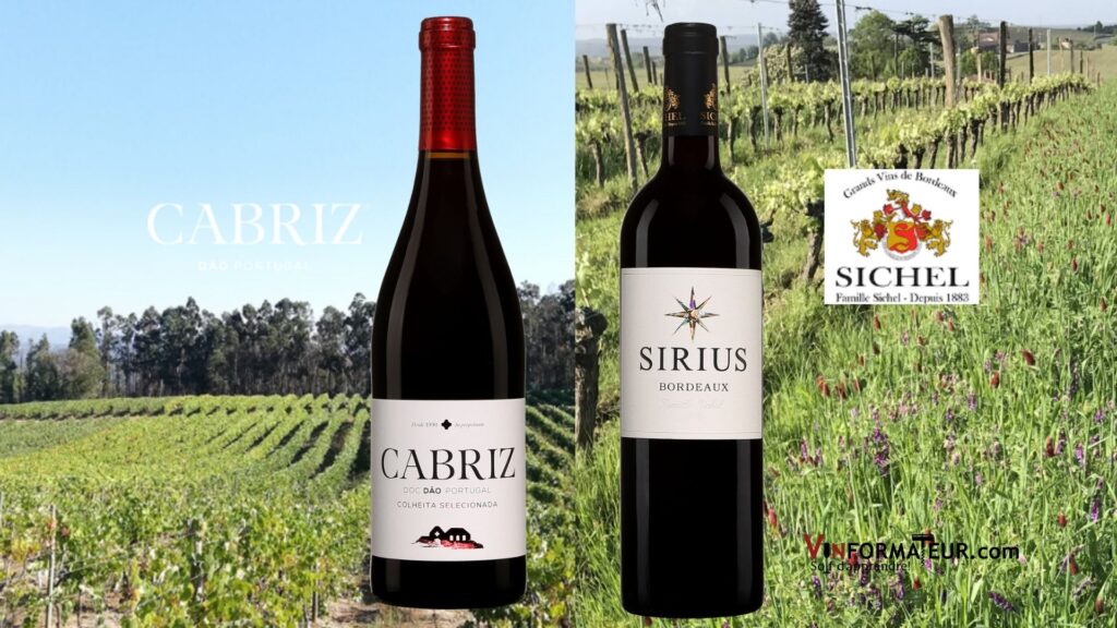 Deux vins qui offrent d’excellents rapports qualité/prix!