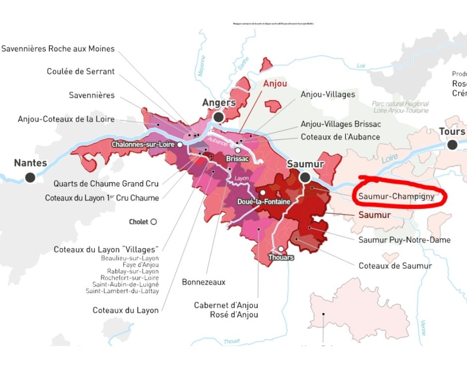 Carte viticole Val de Loire, Anjou-Saumur