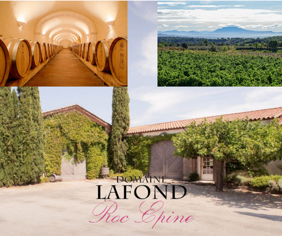 Domaine Lafond Roc Épine chai, vignobles