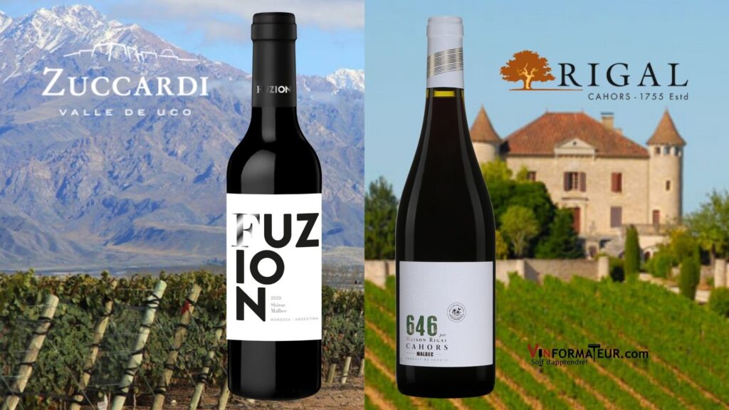 Bouteilles de Fuzion, Shiraz et Malbec, Argentine, Mendoza, 2019, 646, Malbec, Maison Rigal, France, Sud-Ouest, Cahors, 2019 et vignobles