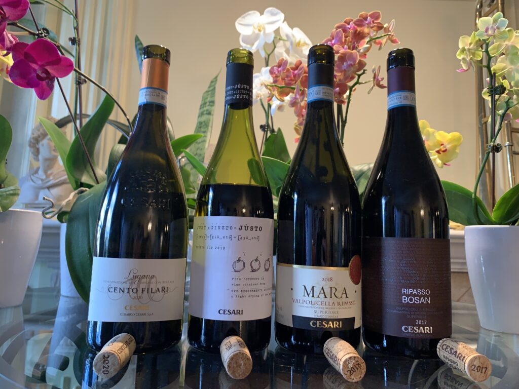 Bouteilles de Cento Filari, Lugana DOC 2020, Justo, Italie, Veneto IGT 2018, Mara, Ripasso Superiore DOC 2018, Bosan, Ripasso Superiore DOC 2017.