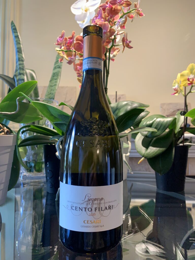 Bouteille de Cento Filari, Italie, Vénitie, Lugana DOC, Gerardo Cesari, vin blanc, 2020