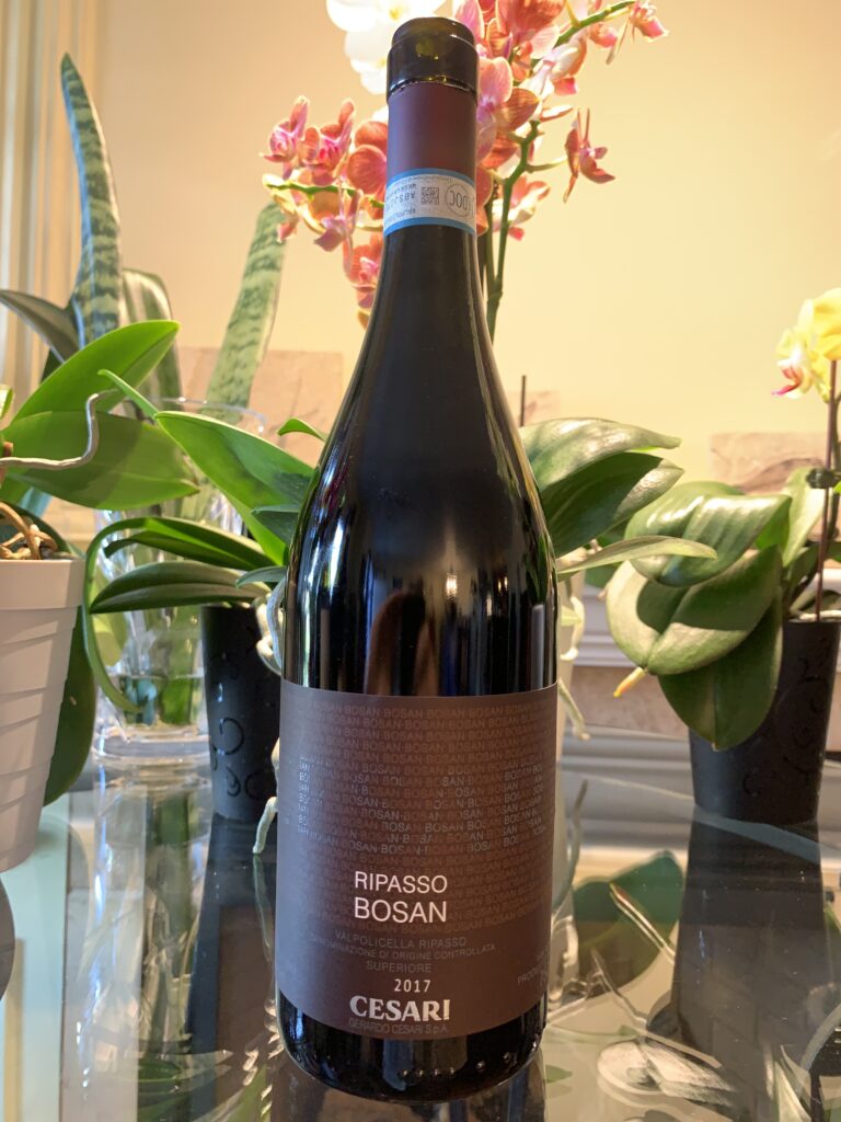 Bouteille de Bosan, Italie, Vénétie, Valpolicella Ripasso Superiore DOC, Gerardo Cesari, vin rouge, 2017