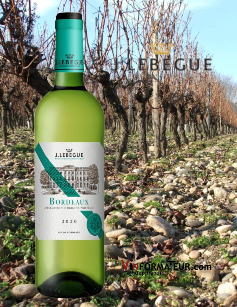 Bouteille de J. Lebègue, Graves Blanc, Bordeaux, 2019 avec vignoble
