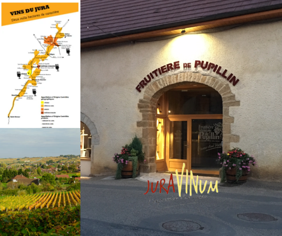 Juravinum - carte Jura, vignobles et magasin