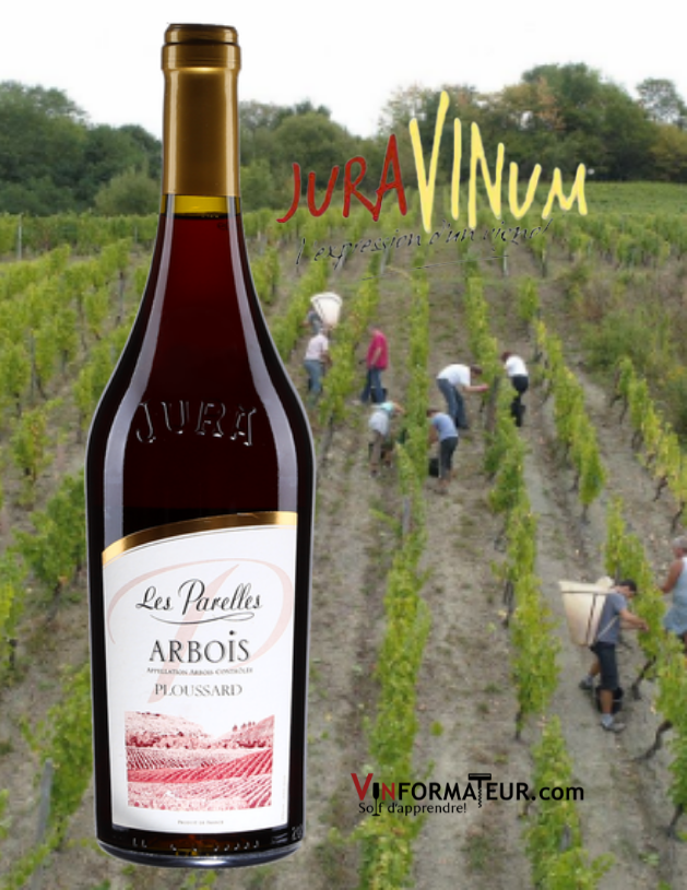 Bourgogne Les Parelles, Ploussard, France, Jura, Arbois, Juravinum, vin rouge, 2018
