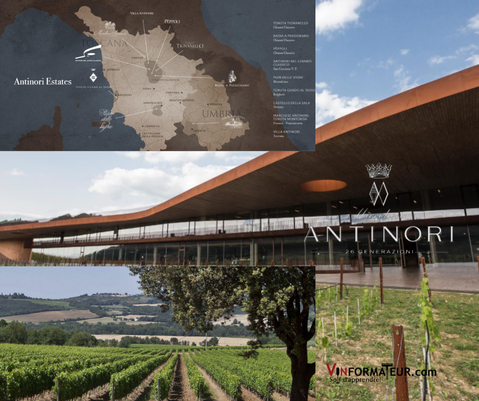 Marchesi Antinori carte viticole, chai et vignobles