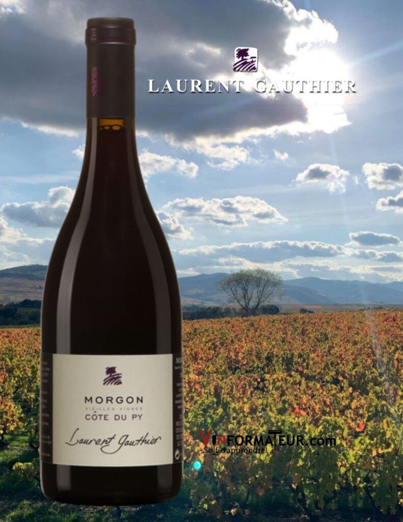 Bouteille de Morgon, Côte du Py, Vieilles Vignes, Beaujolais, Laurent Gauthier, vin rouge, Terra Vitis, 2018