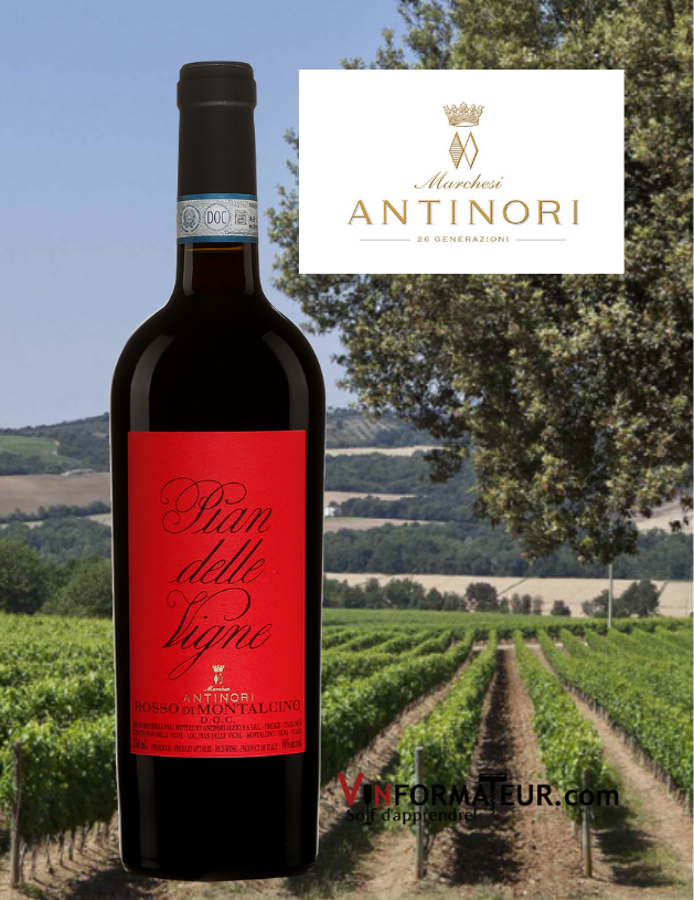 BOuteille de Pian delle Vigne, Rossi di Montalcino DOC, Italie, Toscane, Marchesi Antinori, 2019 et vignobles