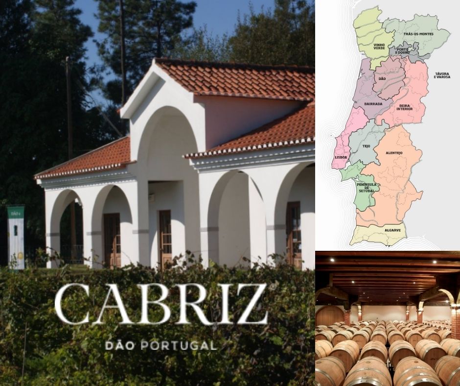 Cabriz, chai et carte viticole du Portugal