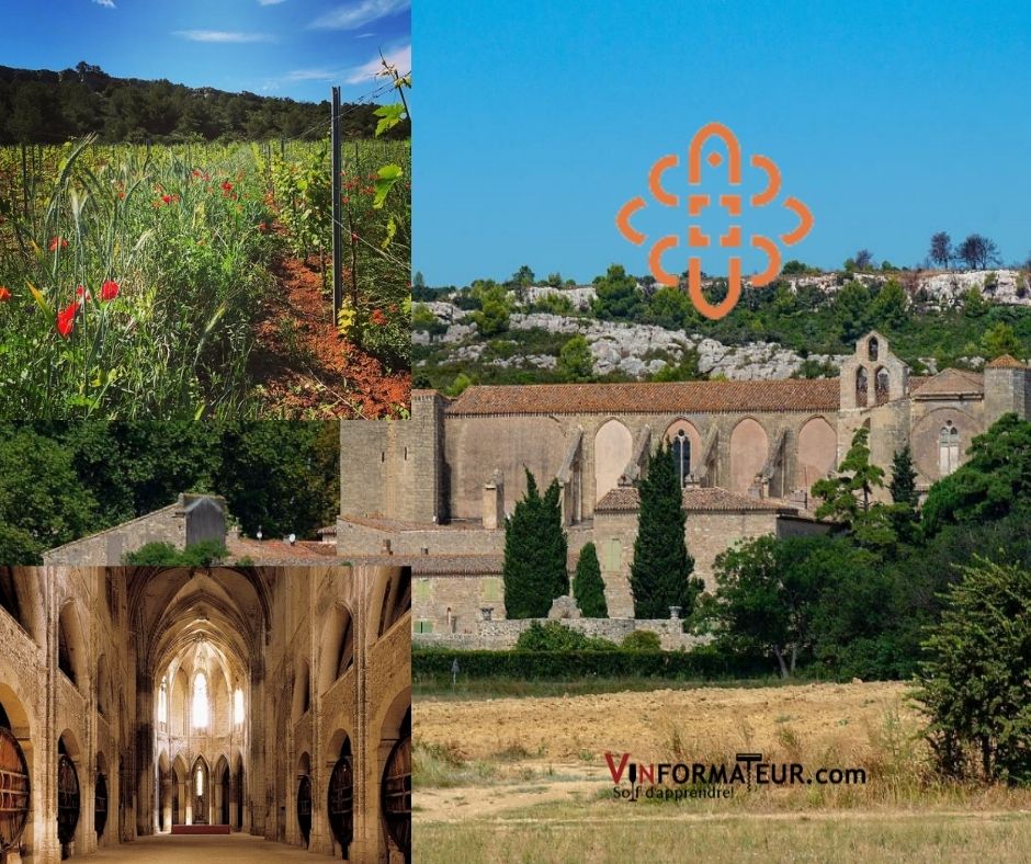 Abbaye de Valmagne et vignoble