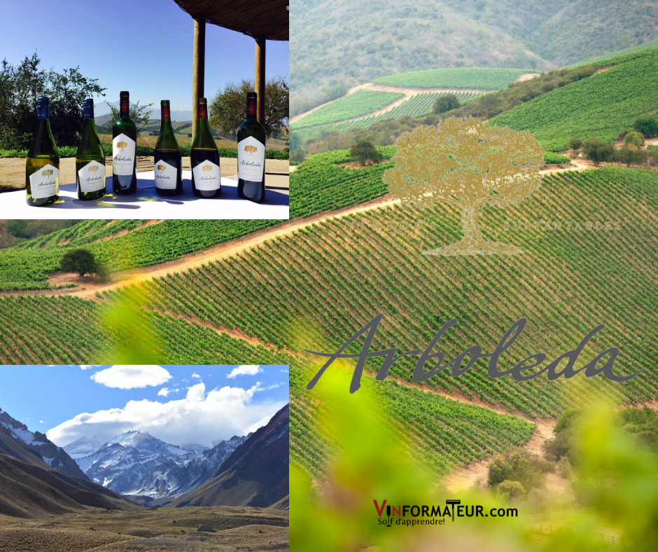 Vina Arboleda vignobles, Mont Aconcagua et vins Arboleda