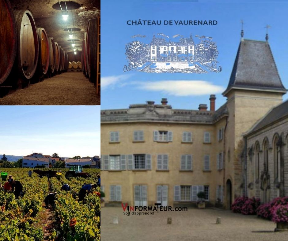 Château de Vaurenard, chai et vignobles